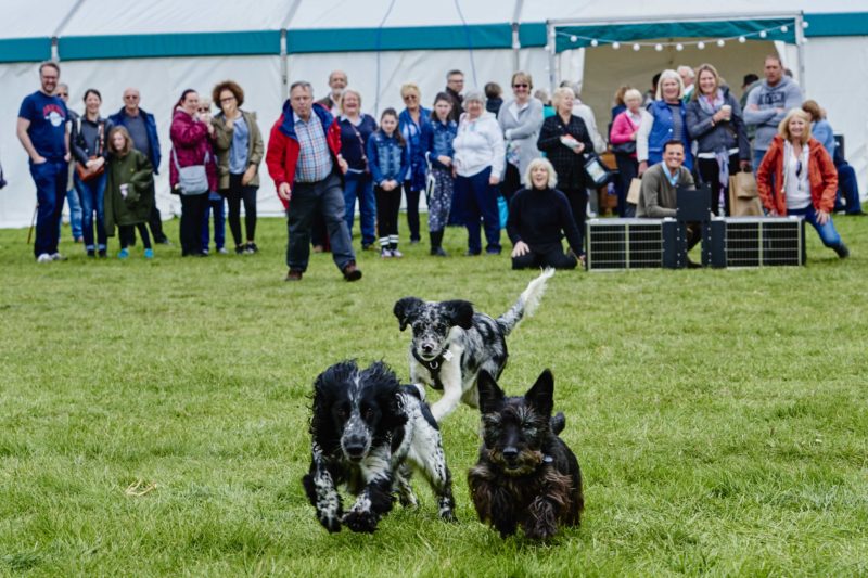 Weald of Kent Country Craft Show