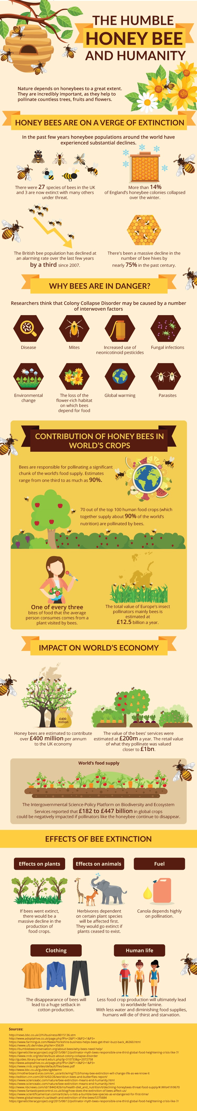 honeybee infographic