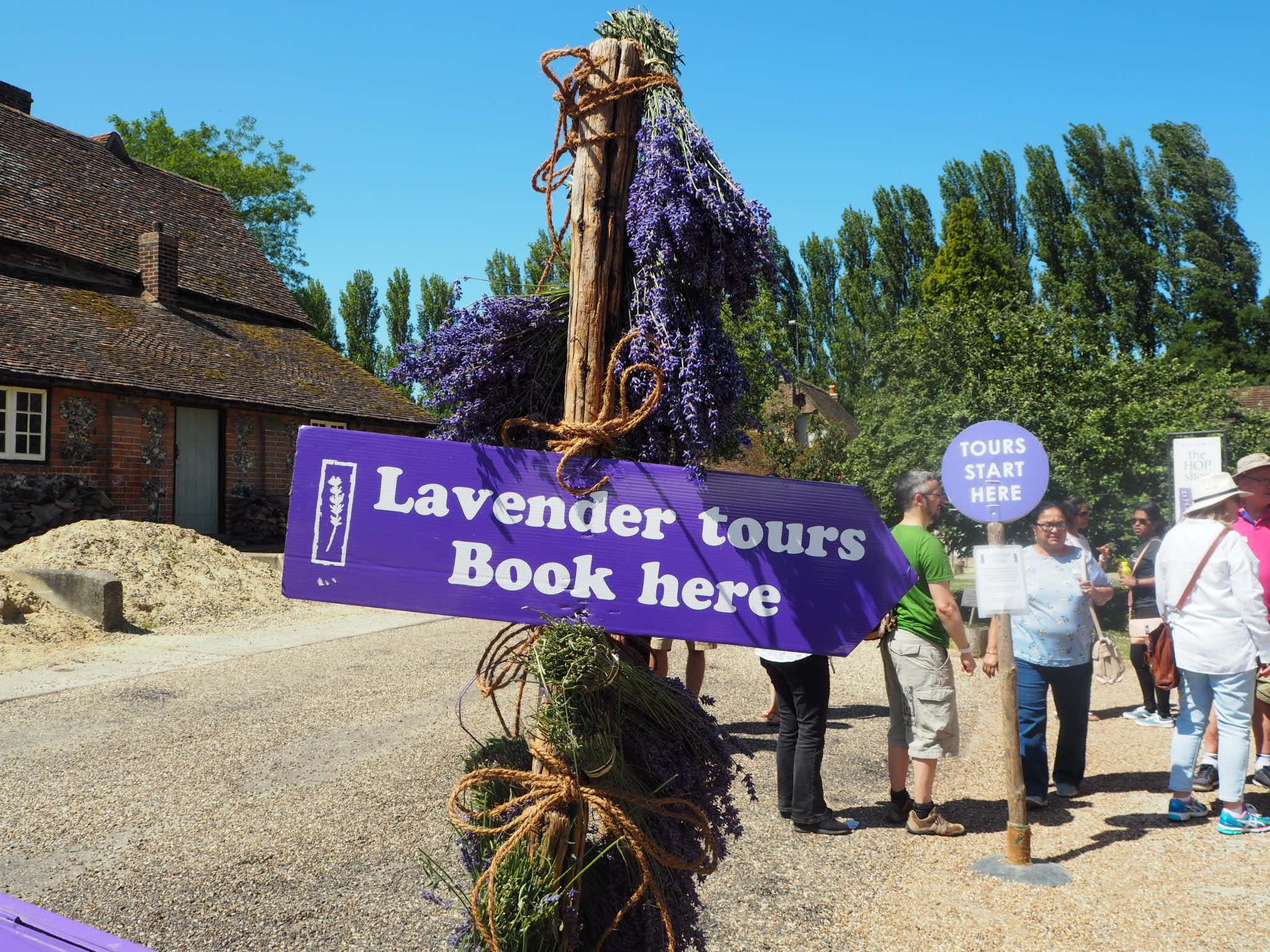 Lavender Tour at Castle Farm Shoreham