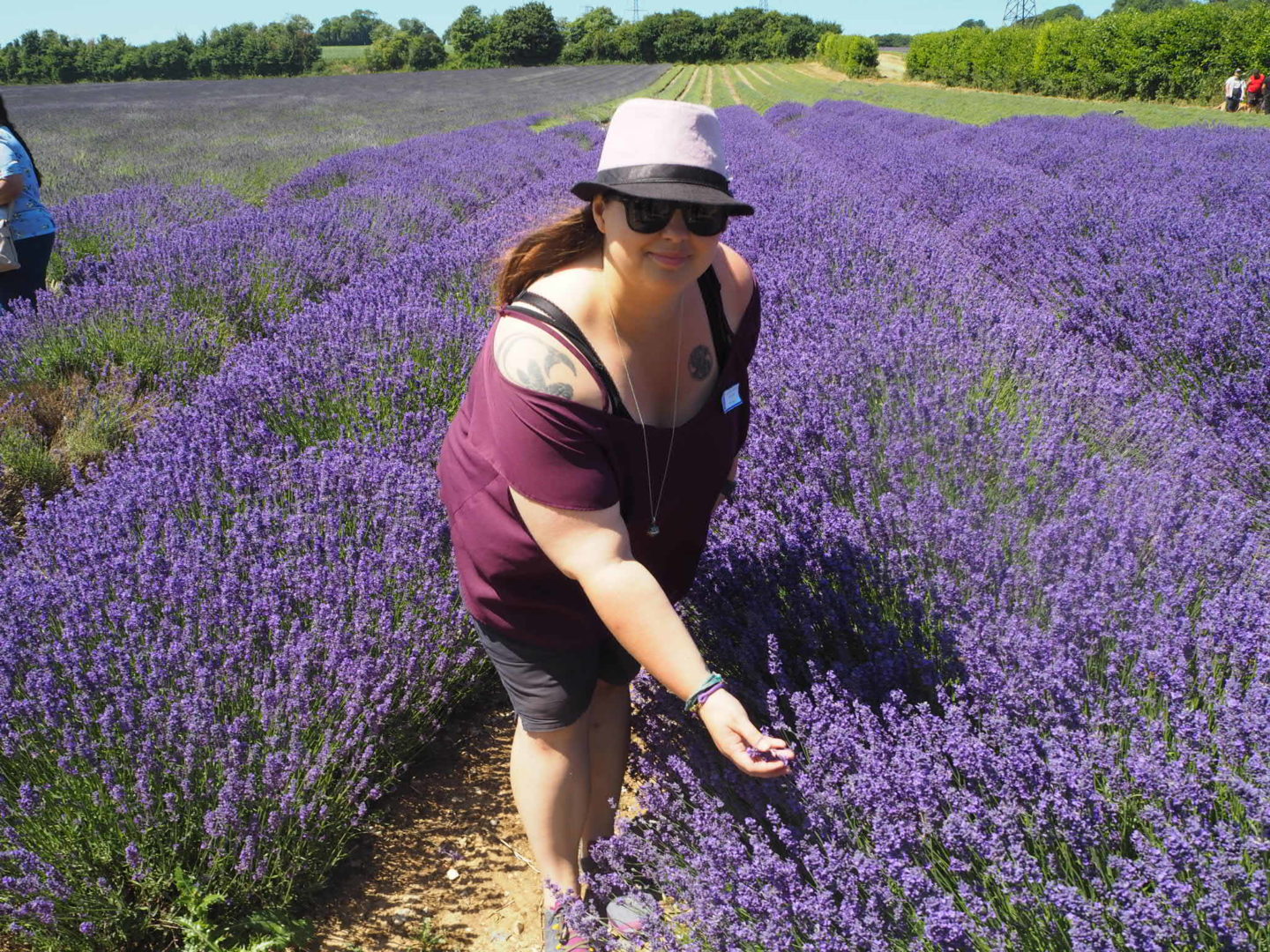 Me in Lavender Field Lavender Tour at Castle Farm Shoreham