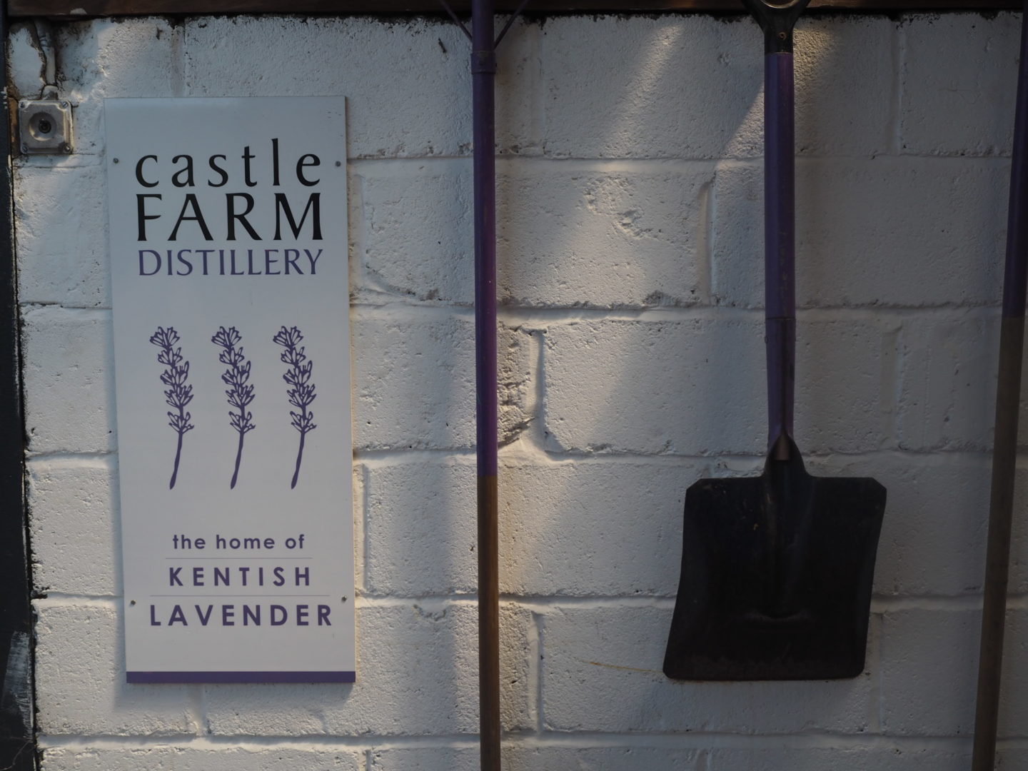 Lavender Tour at Castle Farm Shoreham Distillery
