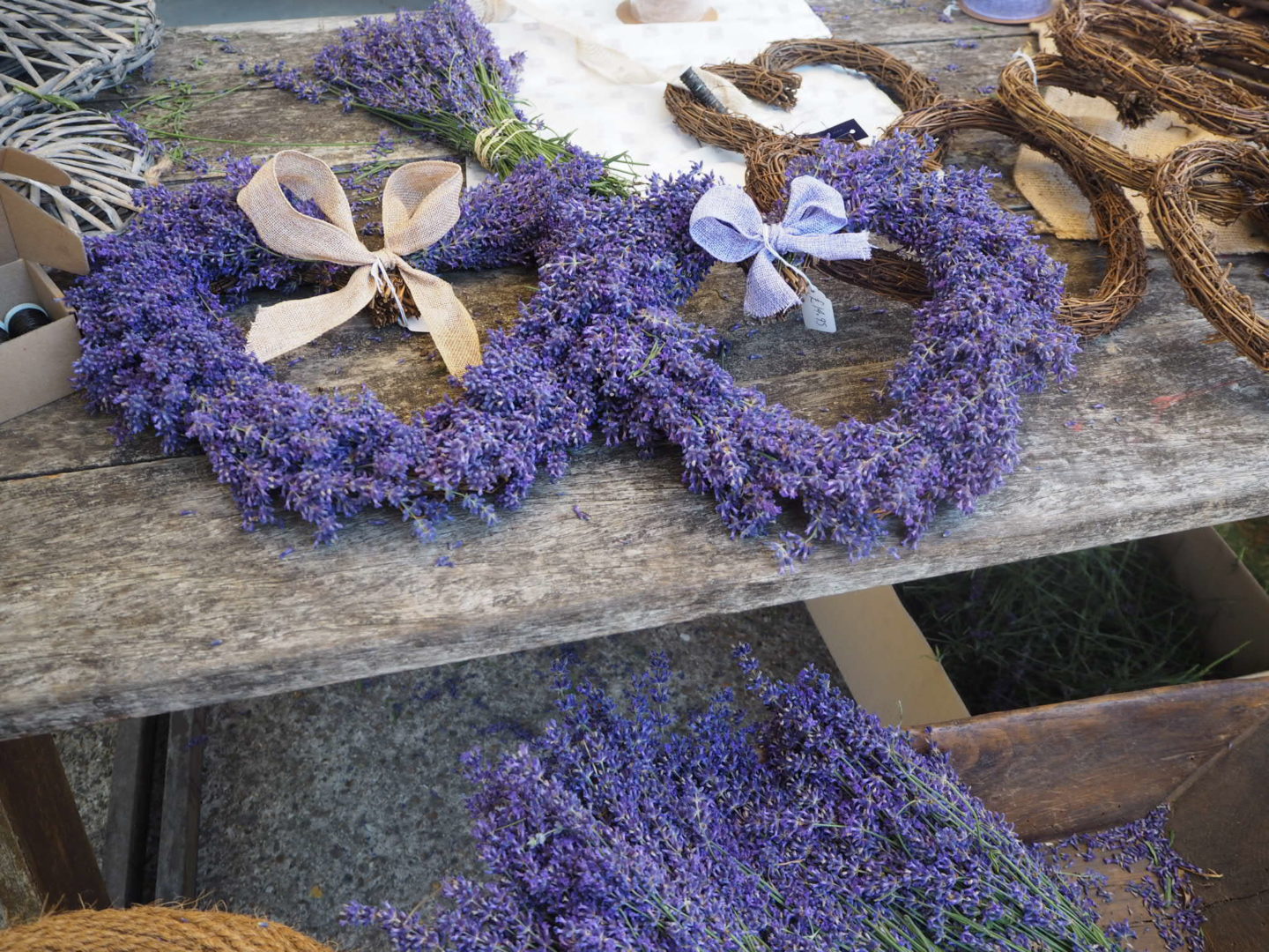 Lavender Tour at Castle Farm Shoreham Lavender Shop