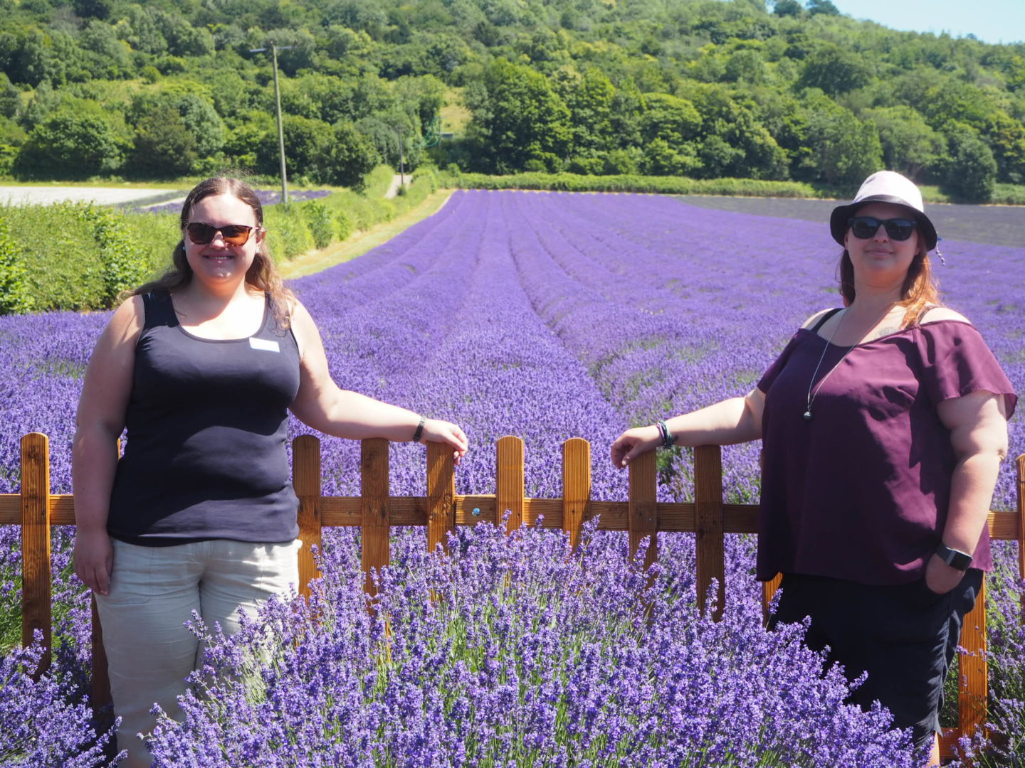 Me and sister Lavender Tour at Castle Farm Shoreham