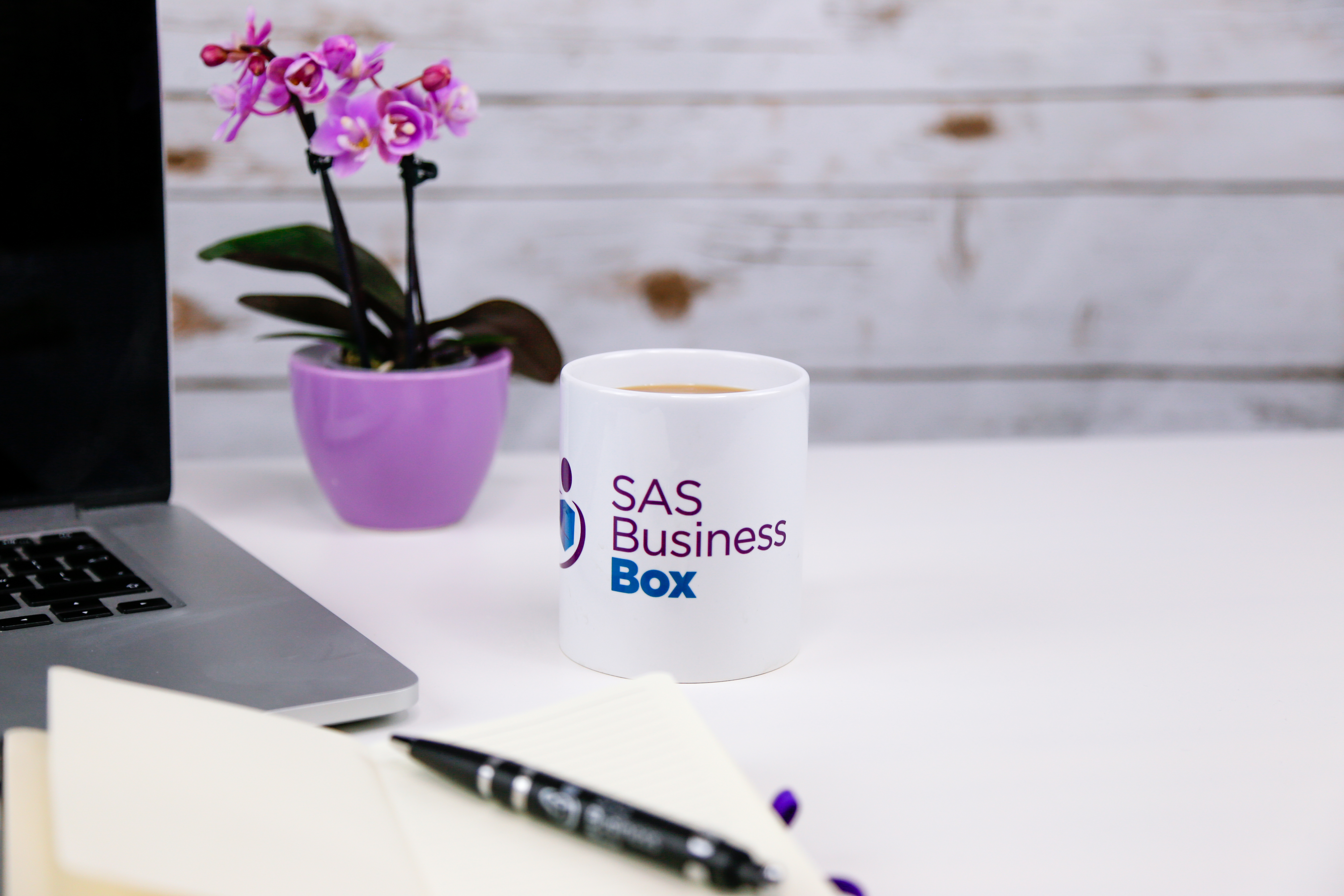 SAS Business Box Mug