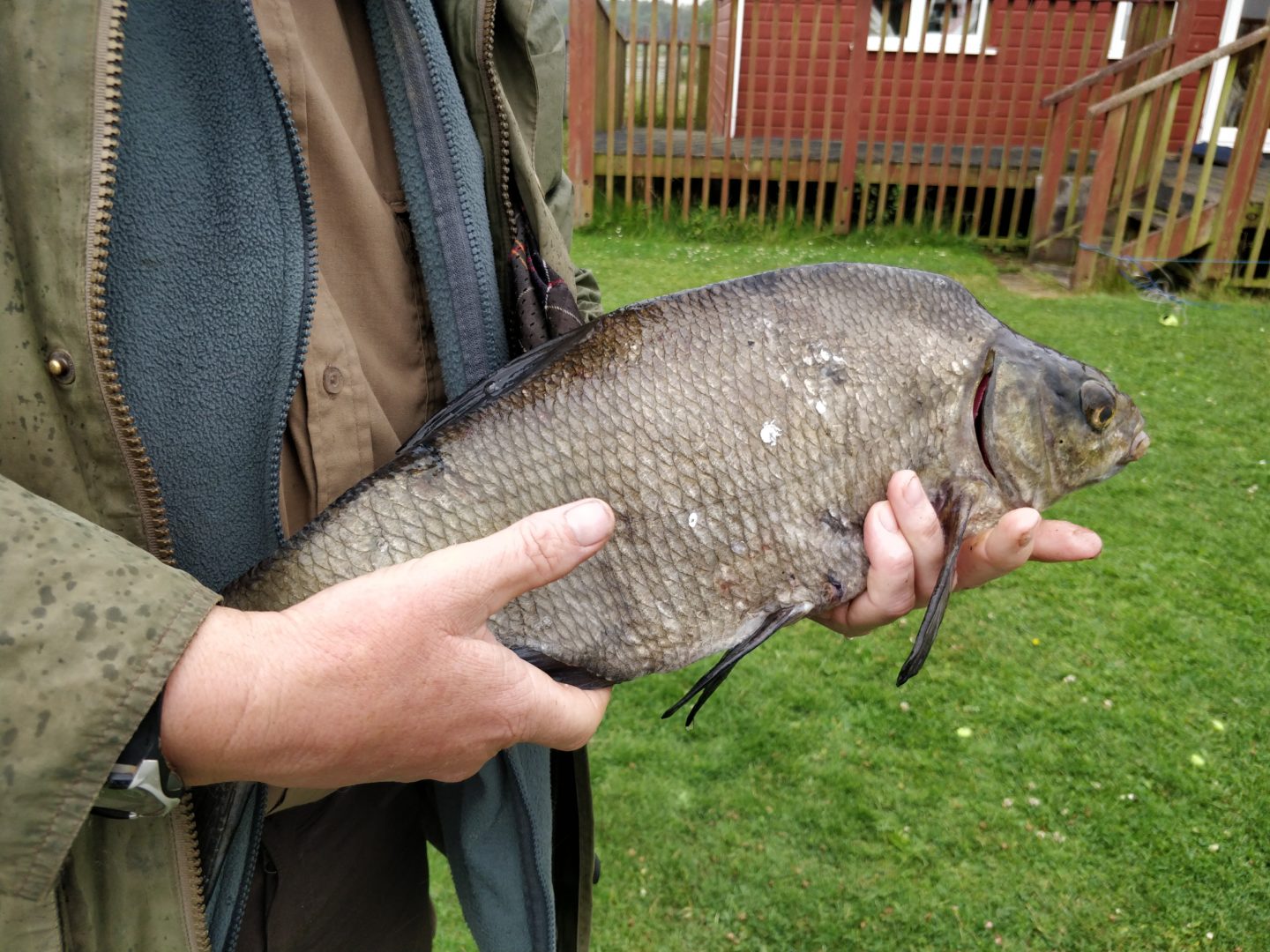 Fishing on the Norfolk Broads