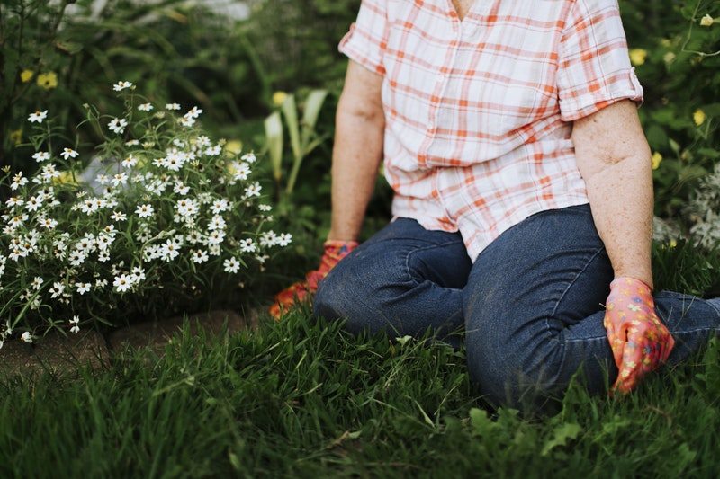 gardener kneeling on lawn