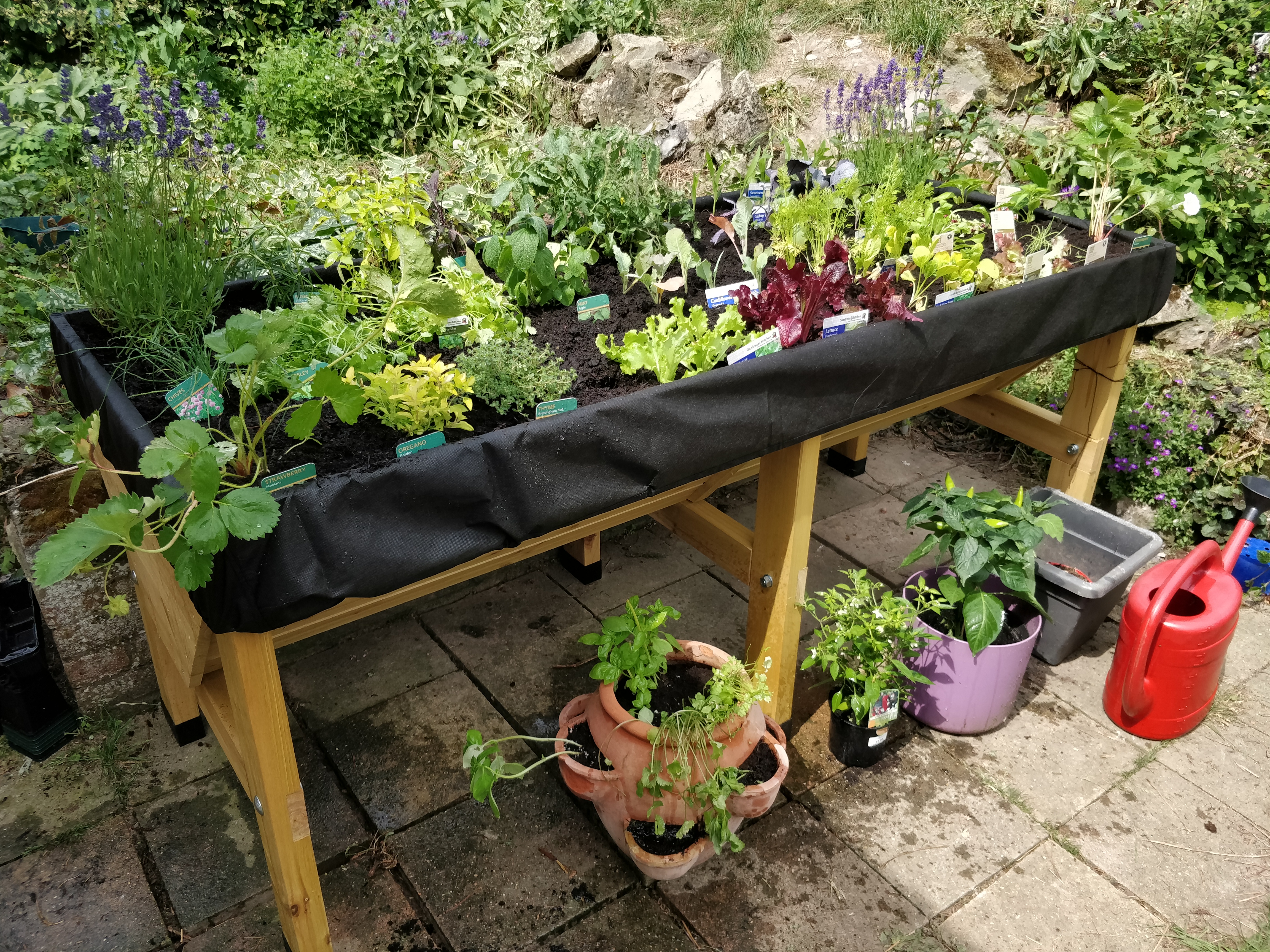 Finished planted up vegtrug