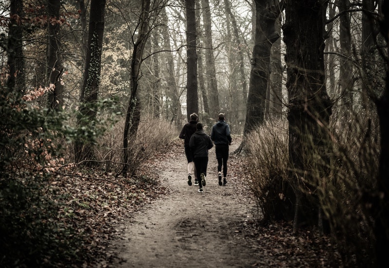 joggers in the woods in autumn