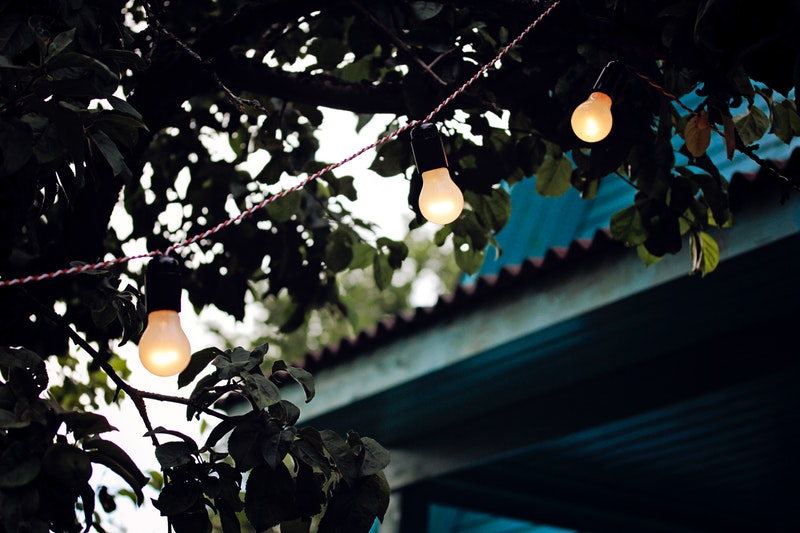 electric bulbs hanging from a tree branch